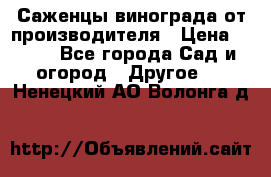 Саженцы винограда от производителя › Цена ­ 800 - Все города Сад и огород » Другое   . Ненецкий АО,Волонга д.